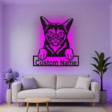 Insegna in metallo personalizzata con luce LED per gatti - Regalo per amanti dei gatti, decorazione per soggiorno o camera da letto 1