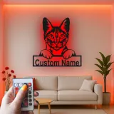 Custom Cat Led Light Metal Wall Art Personalized Gift for Cat Lovers Living Room or Bedroom Pet Decor