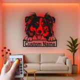 Décoration murale en métal LED personnalisée Border Collie pour les amoureux des chiens 1
