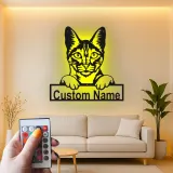 Custom Cat Led Light Metal Wall Art Personalized Gift for Cat Lovers Living Room or Bedroom Pet Decor