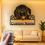 Cartel de metal personalizado con luz LED de perro de Terranova, regalo para padres de mascotas, decoración de salón o entrada