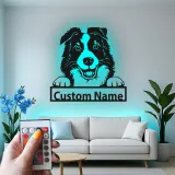 Cartel de metal LED personalizado de Border Collie, regalo para amantes de los perros, decoración para la sala de estar