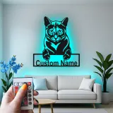 Cartel de metal LED de gato personalizado, regalo para amantes de mascotas, decoración para salón