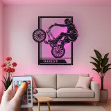 Custom BMX Rider Led Light Metal Wall Art Personalized Gift for Cyclists Garage or Bedroom Decor
