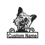 Custom Papillon Dog Led Light Metal Wall Art Personalized Pet Parent Gift Living Room or Bedroom Decor