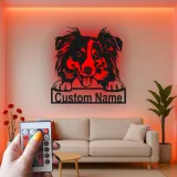 Décoration murale en métal LED personnalisée Border Collie pour les amoureux des chiens 2