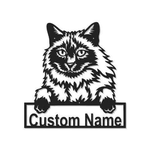 Insegna in metallo personalizzata con gatto Maine Coon, luce LED, regalo per amanti degli animali, decorazione per soggiorno