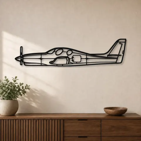 Insegna in metallo silhouette aereo Evolution, Silhouette di aereo in metallo, Decorazione da parete aviatore