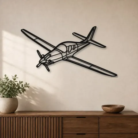 Insegna in metallo silhouette aereo Evolution Angle, Silhouette di aereo in metallo, Decorazione da parete aviatore