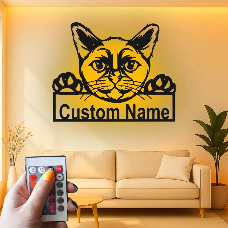 Insegna in metallo personalizzata con luce LED per gatti - Regalo per amanti dei gatti, decorazione per soggiorno o camera da letto 2