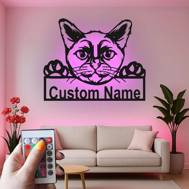 Insegna in metallo personalizzata con luce LED per gatti - Regalo per amanti dei gatti, decorazione per soggiorno o camera da letto 2